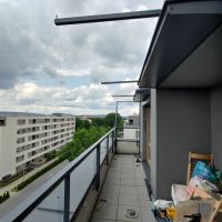 p 20230627