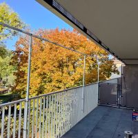 p 20241024