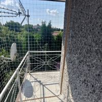 p 20240722
