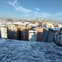 p 20231205